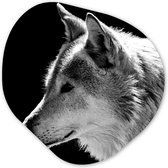 Décoration murale Organique - Décoration murale Plastique - Peinture Organique - Animaux Sauvages - Loup - Zwart - Wit- 90x90 cm - Forme Miroir Organique sur Plastique