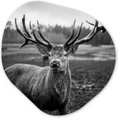 Décoration murale Organique - Décoration Décoration murale Plastique - Peinture Organique - Animaux - Cerf - Bois - Zwart et Blanc - Nature - 40x40 cm - Forme miroir asymétrique sur plastique