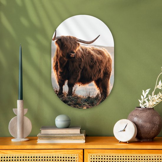 Wall Oval - Décoration murale en plastique - Peinture ovale - Highlander écossais - Animaux - Rural - Paysage - 40x60 cm - Miroir ovale sur plastique