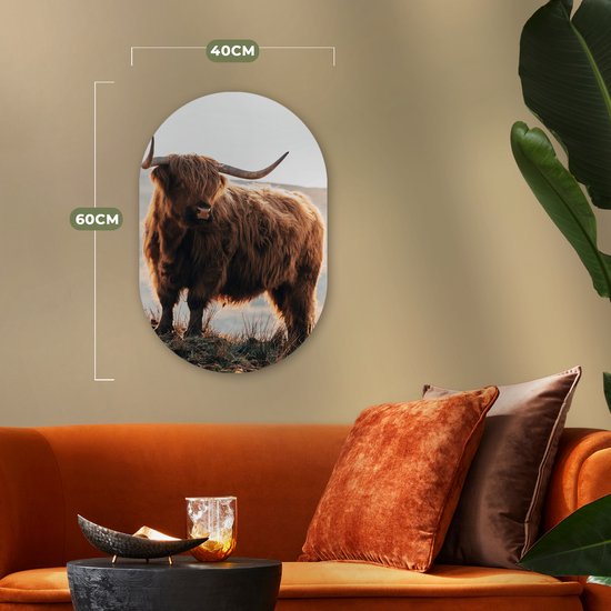 Wall Oval - Décoration murale en plastique - Peinture ovale - Highlander écossais - Animaux - Rural - Paysage - 40x60 cm - Miroir ovale sur plastique