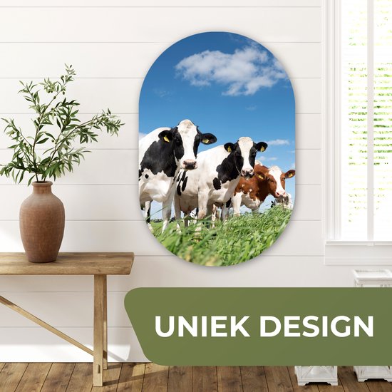 Ovale Mural - Ovale Mural - Décoration murale Plastique - Peinture Ovale - Vaches - Campagne - Pâturage - Nature - Animaux - 60x90 cm - Forme miroir ovale sur plastique