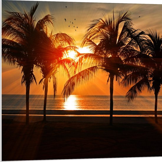 WallClassics - PVC Schuimplaat- Palmbomen op het Strand bij Zonsondergang - 80x80 cm Foto op PVC Schuimplaat
