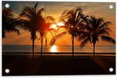 WallClassics - Tuinposter – Palmbomen op het Strand bij Zonsondergang - 60x40 cm Foto op Tuinposter  (wanddecoratie voor buiten en binnen)