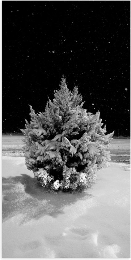 WallClassics - Poster (Mat) - Wit Besneeuwde Kerstboom in het Donker - 50x100 cm Foto op Posterpapier met een Matte look