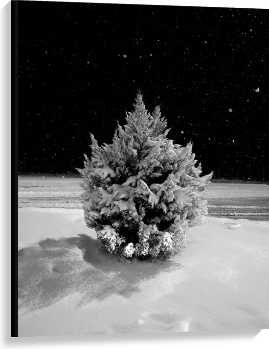 WallClassics - Canvas  - Wit Besneeuwde Kerstboom in het Donker - 75x100 cm Foto op Canvas Schilderij (Wanddecoratie op Canvas)