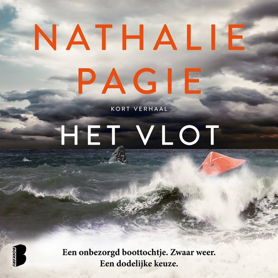 Het vlot - cover