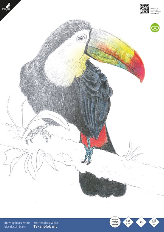 Tekening van een toekan met een veelkleurige snavel op een tak. De tekening is in kleur. Papier is A3 formaat, 200gr.