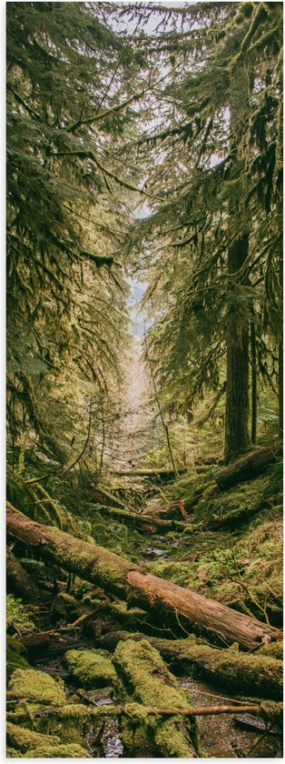 WallClassics - Poster Glanzend – Omgevallen Groene Bomen - 50x150 cm Foto op Posterpapier met Glanzende Afwerking