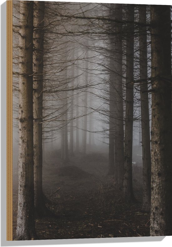 WallClassics - Hout - Mist tussen Hoge Witte Bomen - 50x75 cm - 12 mm dik - Foto op Hout (Met Ophangsysteem)
