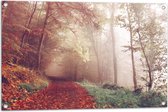 WallClassics - Tuinposter – Mistig Herfstbos - 90x60 cm Foto op Tuinposter  (wanddecoratie voor buiten en binnen)