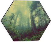 WallClassics - Dibond Hexagon - Mist tussen de Bomen - 30x26.1 cm Foto op Hexagon (Met Ophangsysteem)