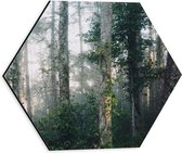 WallClassics - Dibond Hexagon - Mist tussen Bomen - 30x26.1 cm Foto op Hexagon (Met Ophangsysteem)