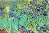 koelkast magneet Iris Vincent van Gogh