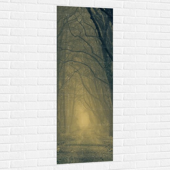 WallClassics - Muursticker - Mist op Bospad Omringd door Bomen - 50x150 cm Foto op Muursticker