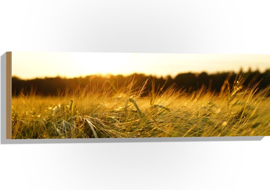 WallClassics - Bois - Sauterelle dans l'herbe - 90x30 cm - Épaisseur 12 mm - Photo sur bois (avec système de suspension)