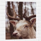 WallClassics - Muursticker - Wit Hert in het Bos - 60x80 cm Foto op Muursticker
