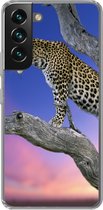 Geschikt voor Samsung Galaxy S22 Plus hoesje - Luipaard - Boom - Tak - Siliconen Telefoonhoesje