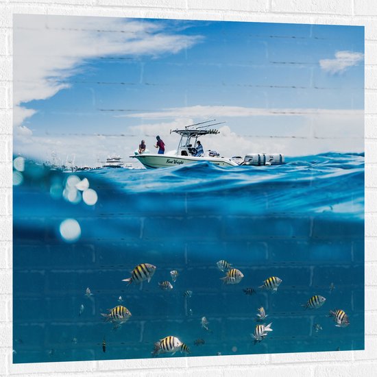 WallClassics - Muursticker - Scheiding van Water en Lucht - Vissen onder een Boot - 100x100 cm Foto op Muursticker