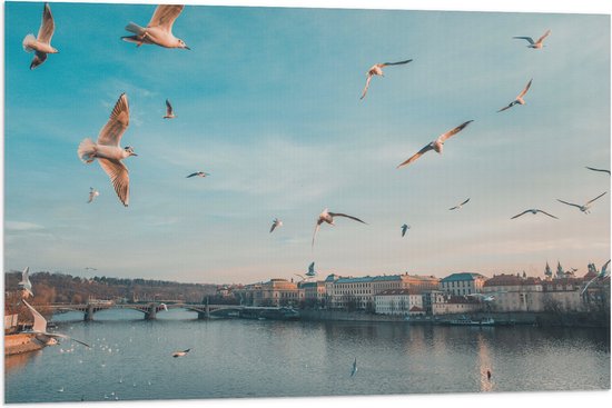 WallClassics - Vlag - Vliegende Vogels Boven een Rivier in Praag - 90x60 cm Foto op Polyester Vlag