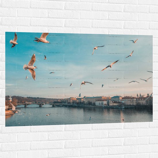 WallClassics - Muursticker - Vliegende Vogels Boven een Rivier in Praag - 120x80 cm Foto op Muursticker