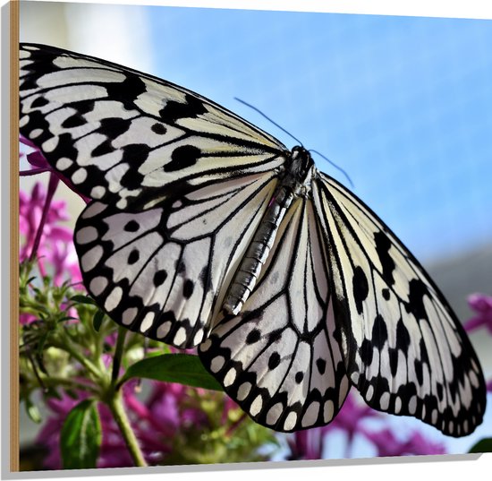 WallClassics - Hout - Zwart met Witte Vlinder op Roze Bloemen - 100x100 cm - 12 mm dik - Foto op Hout (Met Ophangsysteem)