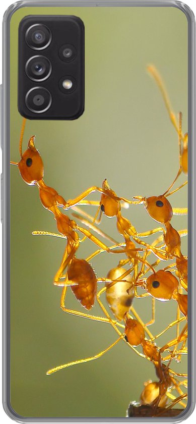 Étui Samsung Galaxy A33 5G - Fourmis - Oranje - Animaux - Étui de téléphone en Siliconen