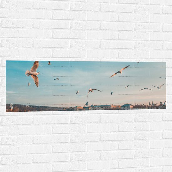 WallClassics - Muursticker - Vliegende Vogels Boven een Rivier in Praag - 120x40 cm Foto op Muursticker