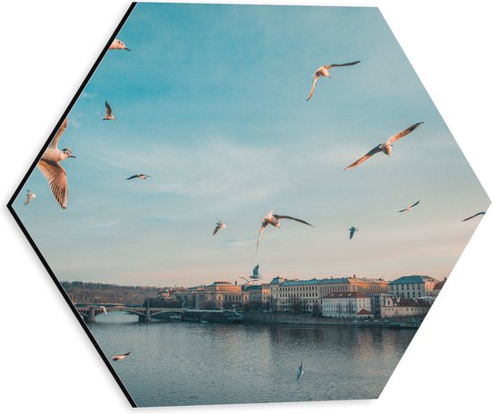 WallClassics - Dibond Hexagon - Vliegende Vogels Boven een Rivier in Praag - 30x26.1 cm Foto op Hexagon (Met Ophangsysteem)