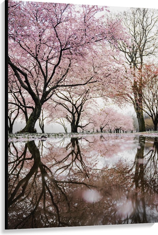 WallClassics - Canvas - Beautiful Blossom Arbres - 100x150 cm Image sur Toile Peinture (Décoration murale sur Toile)