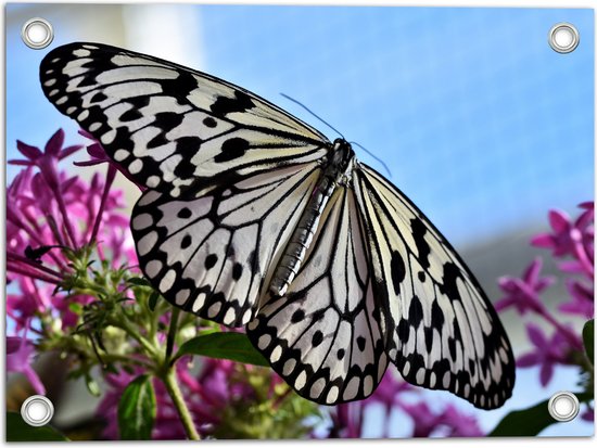 WallClassics - Tuinposter – Zwart met Witte Vlinder op Roze Bloemen - 40x30 cm Foto op Tuinposter  (wanddecoratie voor buiten en binnen)
