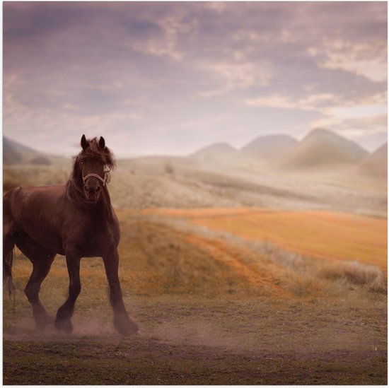 WallClassics - Poster Glanzend – Zwart Paard in de Natuur - 50x50 cm Foto op Posterpapier met Glanzende Afwerking