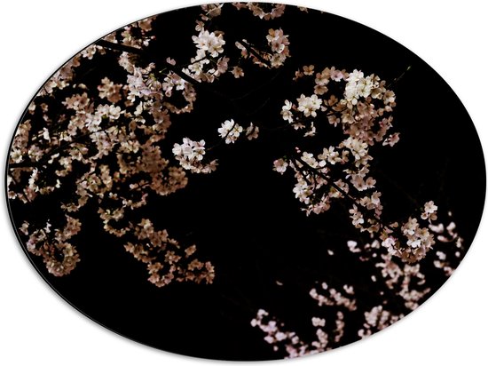 WallClassics - Dibond Ovaal - Wit met Roze Bloementjes met Zwarte Achtergrond - 56x42 cm Foto op Ovaal (Met Ophangsysteem)