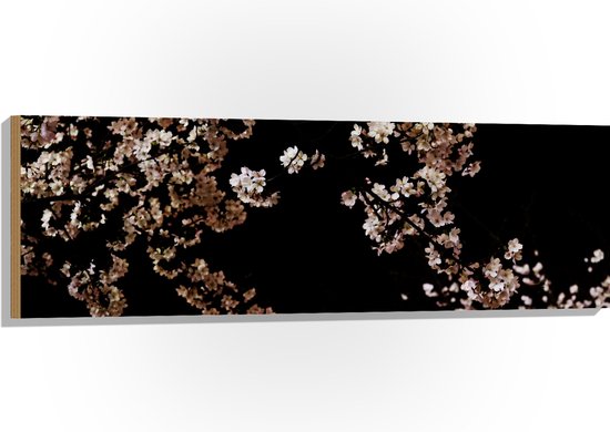 WallClassics - Hout - Wit met Roze Bloementjes met Zwarte Achtergrond - 120x40 cm - 12 mm dik - Foto op Hout (Met Ophangsysteem)