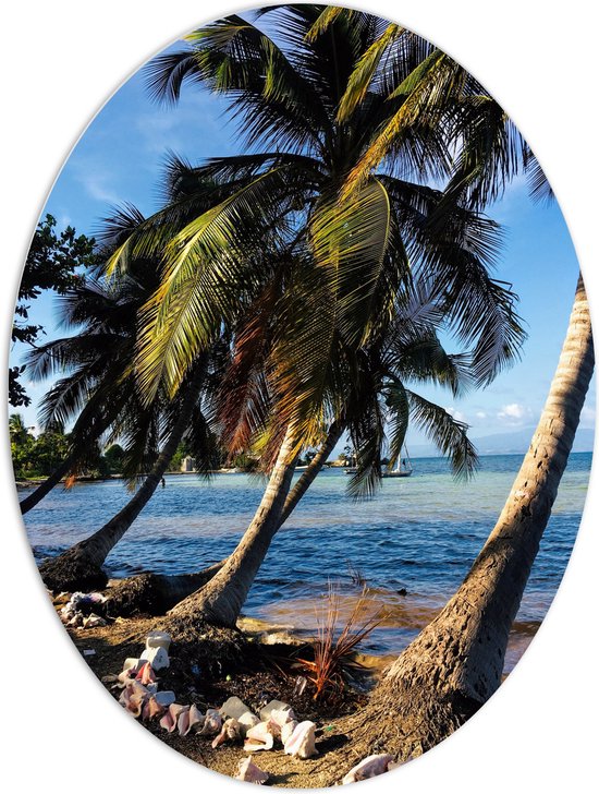 WallClassics - PVC Schuimplaat Ovaal - Schuine Palmbomen op het Strand - 60x80 cm Foto op Ovaal  (Met Ophangsysteem)