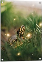 WallClassics - Tuinposter – Zwart met Gele Slang tussen het Groene Gras - 50x75 cm Foto op Tuinposter  (wanddecoratie voor buiten en binnen)