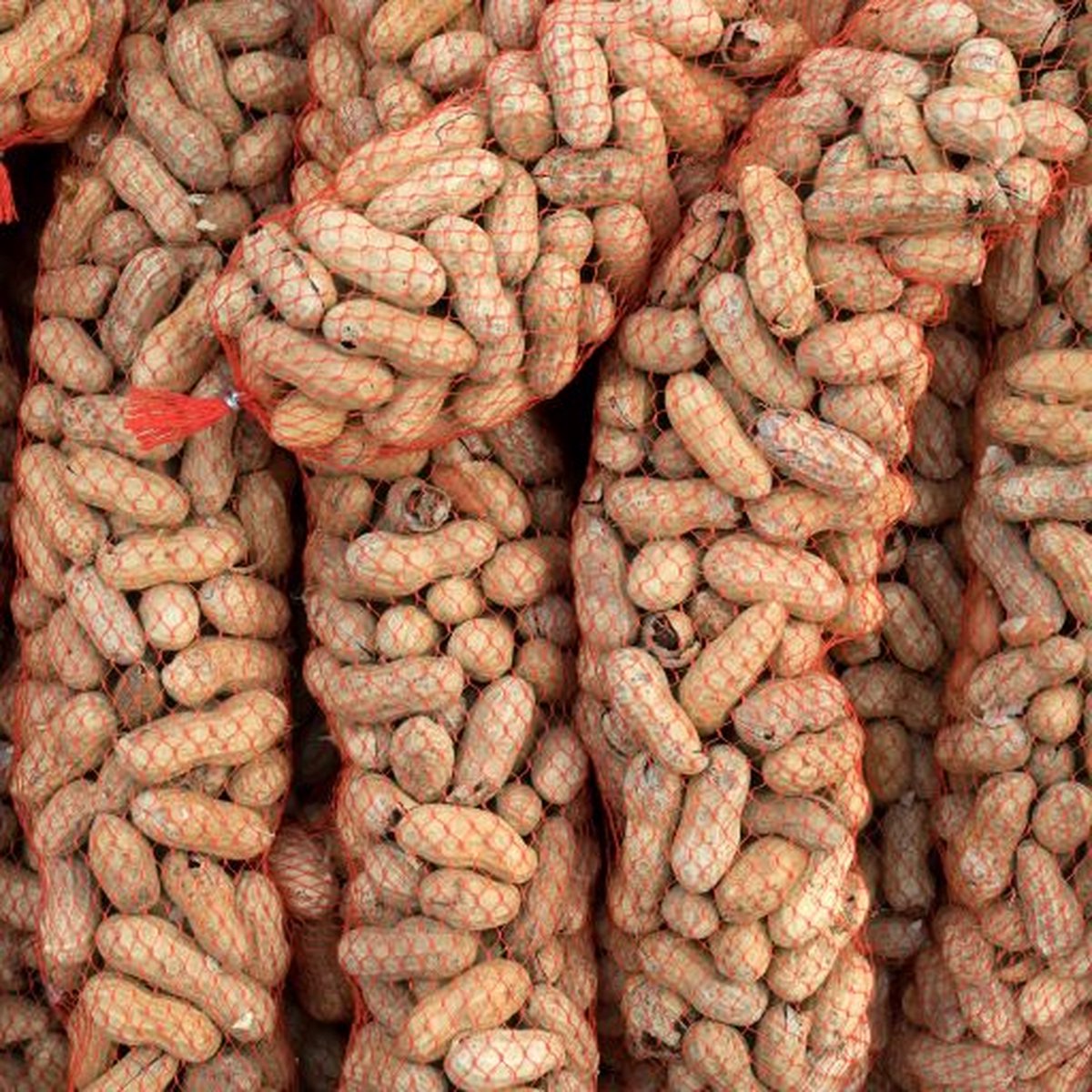 Ongepelde Pindaslinger - Doppinda Voederslinger voor Tuinvogels - 10x400 Gram