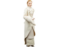 Foto: Hasbro star wars actiefiguur senator mon mothma 15 cm andor black series multicolours