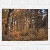 WallClassics - Muursticker - Bos in de Herfst - 40x30 cm Foto op Muursticker