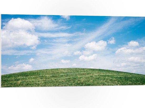 WallClassics - PVC Schuimplaat- Heldere Lucht met Wolken boven Gras Heuvel - 100x50 cm Foto op PVC Schuimplaat