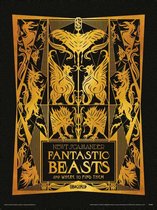 Fantastic Beasts The Crimes of Grindelwald Art Print 30x40cm | Poster