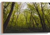 WallClassics - Bois - Lierre sur Arbres de la Forêt - 60x40 cm - 12 mm d'épaisseur - Photo sur Bois (Avec Système d'accrochage)