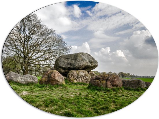 WallClassics - Dibond Ovaal - Grote Stenen in het Veld - 80x60 cm Foto op Ovaal (Met Ophangsysteem)