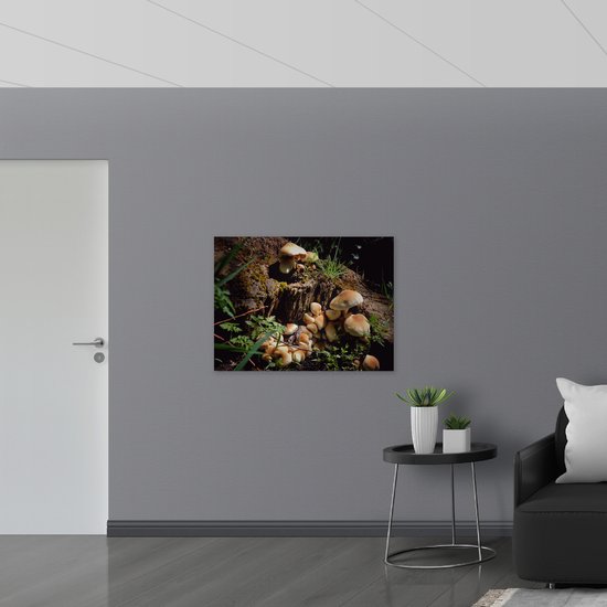 WallClassics - Panneau de mousse PVC - Champignons bruns sur un tronc d'arbre - Photo 100 x 75 cm sur panneau de mousse PVC (avec système de suspension)
