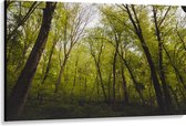 WallClassics - Canvas  - Klimop op Bomen in het Bos - 150x100 cm Foto op Canvas Schilderij (Wanddecoratie op Canvas)