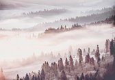 Fotobehang - Vlies Behang - Mistige Landschap met Bomen - Bos in de Mist - 368 x 254 cm