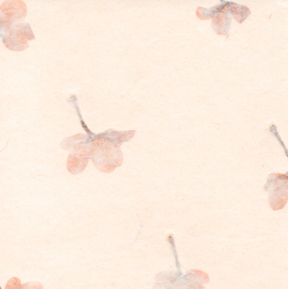 Set van 10 vel Tree-Free papier met bloemen, met 10 enveloppen