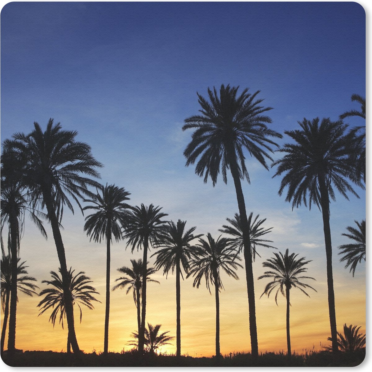 Muismat 20x20 cm - Mousepad Palmboom - Natuur - Strand - Zon - Nacht - Muismatten