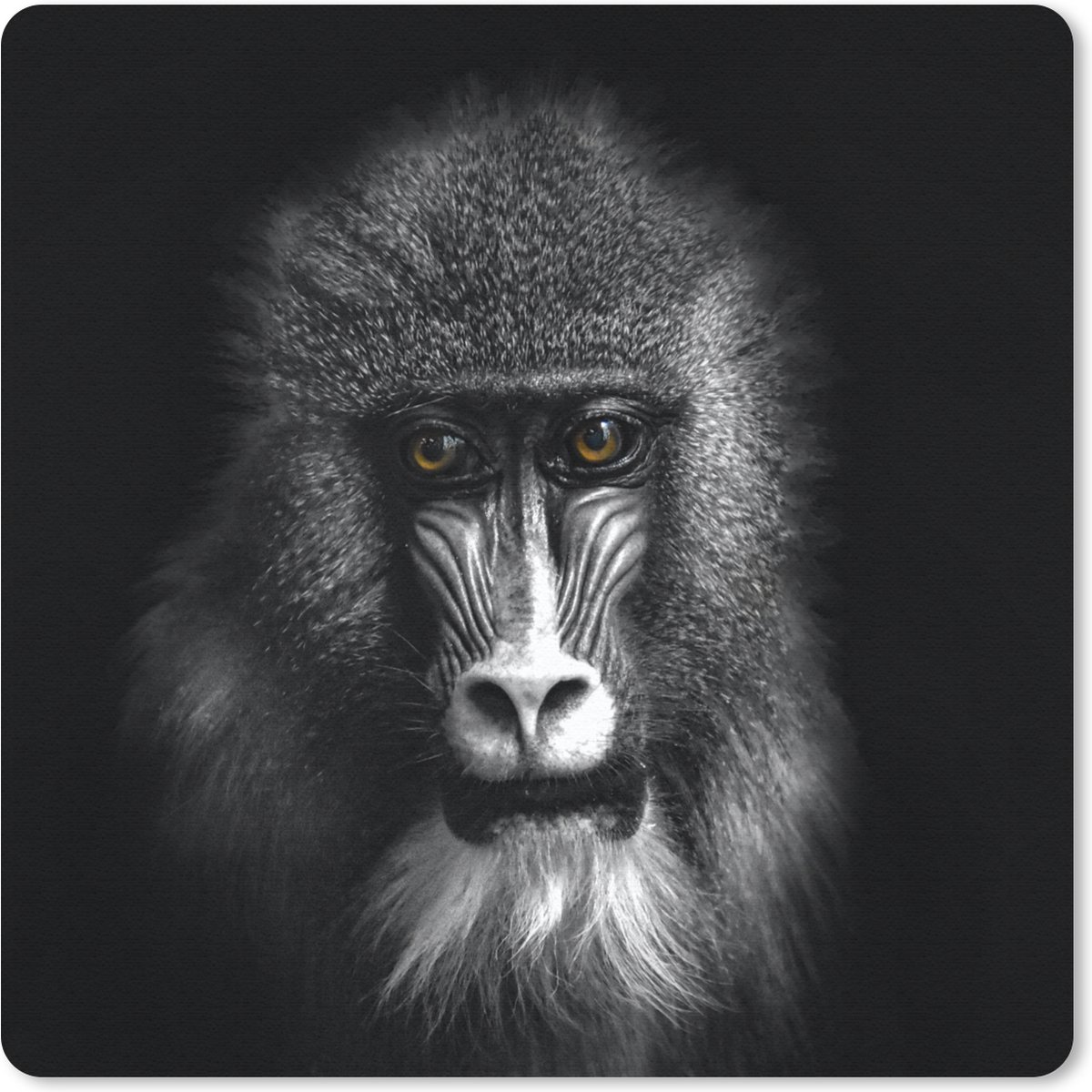 Muismat 20x20 cm - Mousepad Aap - Dieren - Ogen - Bruin - Zwart wit - Muismatten