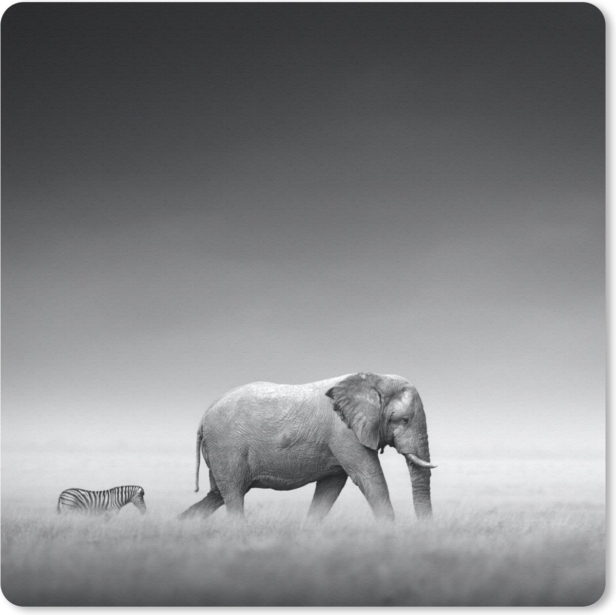 Muismat 30x30 cm - Mousepad Olifant - Dieren - Landschap - Zwart wit - zebra - Muismatten