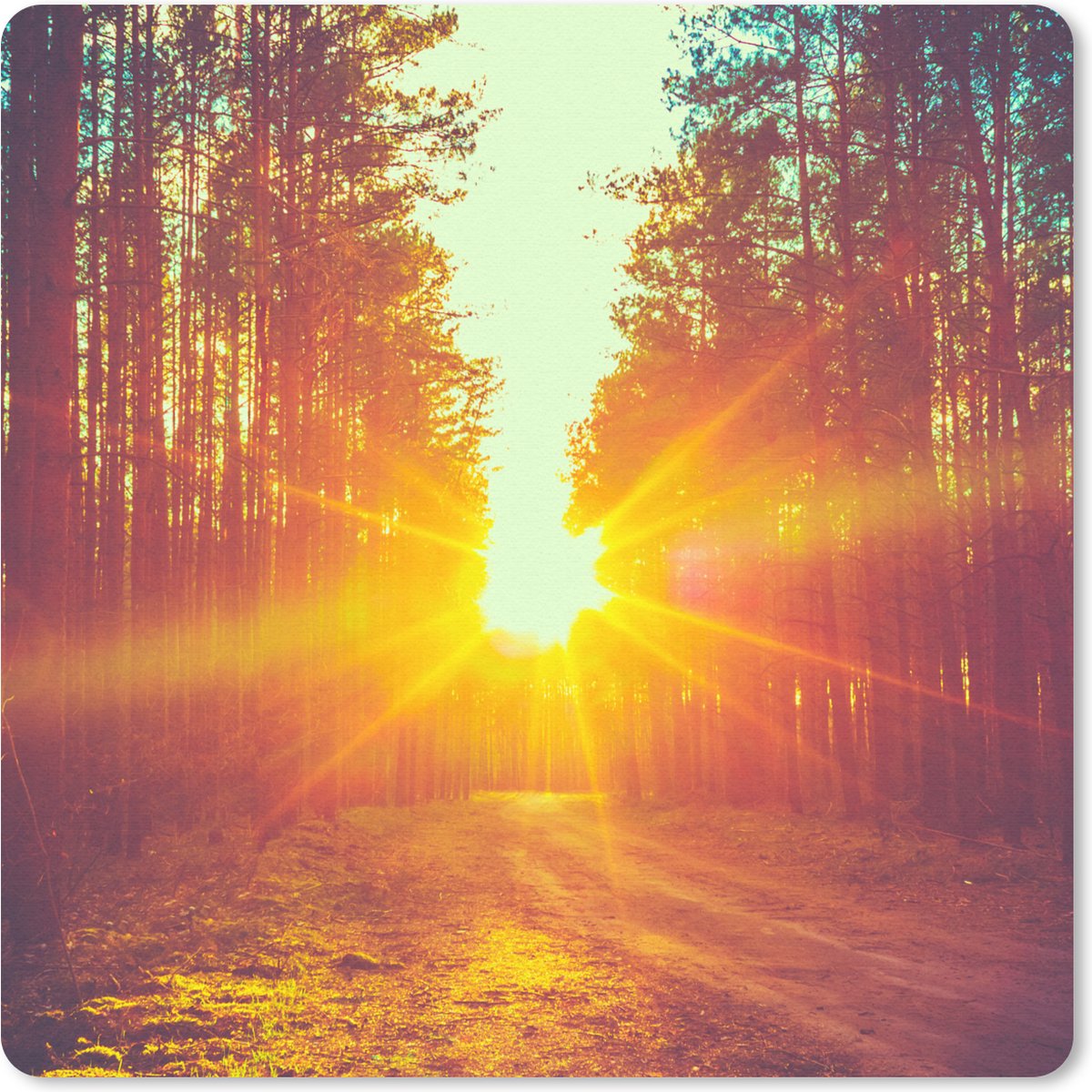 Muismat 20x20 cm - Mousepad Zonsondergang - Bomen - Bos - Natuur - Muismatten